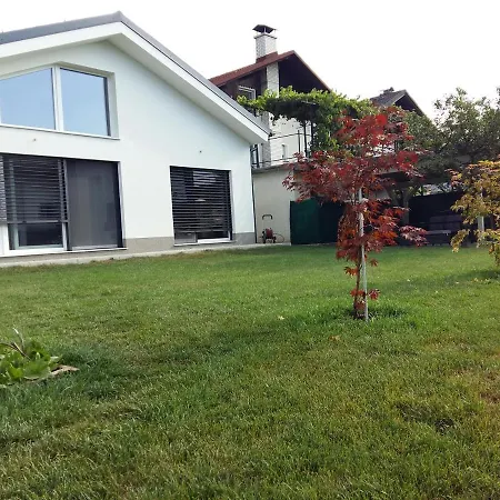 Morning Coffee 卢布尔雅那