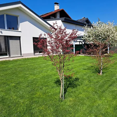 Morning Coffee * リュブリャナ