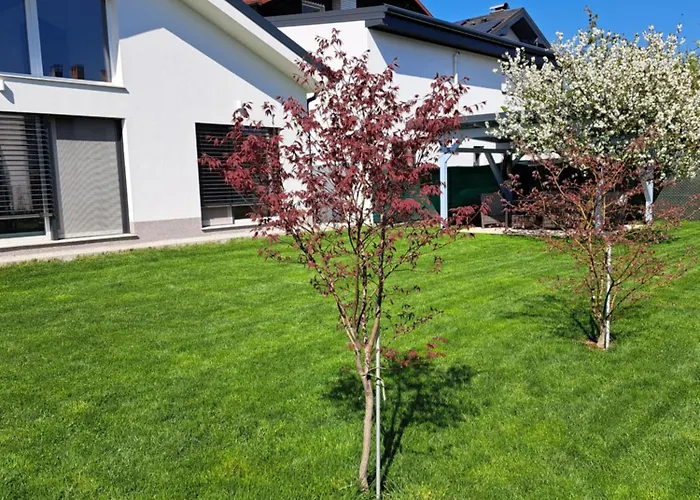 Morning Coffee * Ljubljana